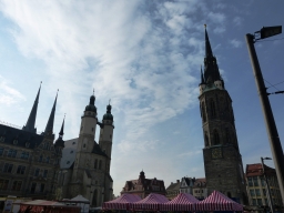 Halle DMM LS